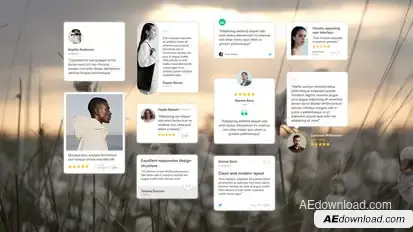Testimonials, Reviews & Quotes - After Effects Template Elements template preview