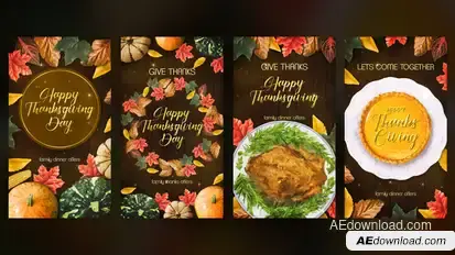 Thanksgiving Instagram Stories Openers template preview