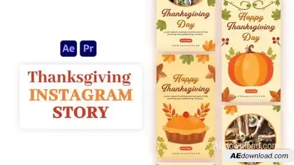 Videohive Thanksgiving Instagram Story 55437063 Video Displays template preview