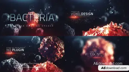 The Bacteria Infection Opener Openers template preview
