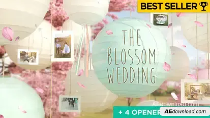 Wedding Slideshow Video Displays template preview