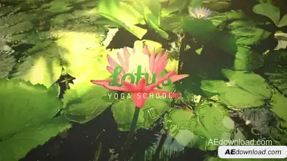 The Lotus Openers template preview