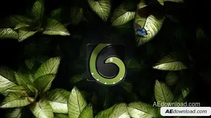 The Nature Mystery Logo Stings template preview