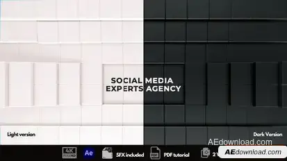 The Social Media Experts Logo Stings template preview