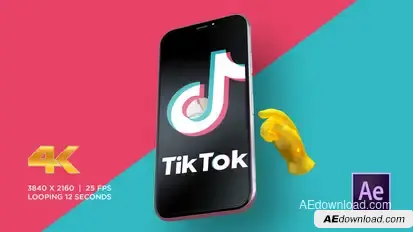 TikTok Promo Video Displays template preview