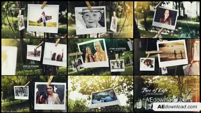 Tree of Life Photo Gallery Video Displays template preview