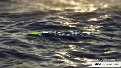 Ultra Realistic Ocean Logo Logo Stings template preview
