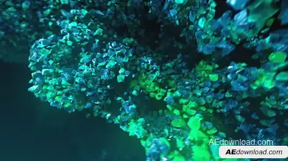 Underwater Rocks Logo Stings template preview
