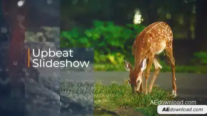 Upbeat Slideshow Video Displays template preview