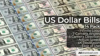 US Dollar Bills - 14 Pack Elements template preview