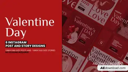 Valentine's Day Instagram Posts And Stories Promotion Product Promo template preview