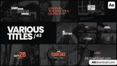 Various Titles 43 Titles template preview