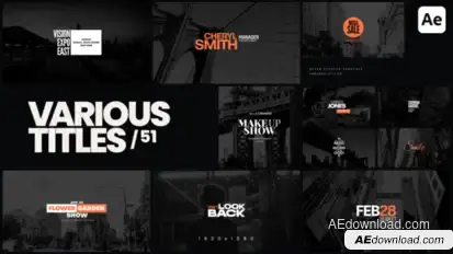 Various Titles 51 Titles template preview