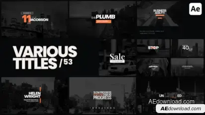 Various Titles 53 Titles template preview