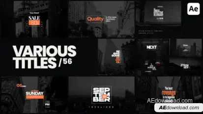 Various Titles 56 Titles template preview