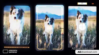 Vertical Camera Viewfinder Overlay Effects | After Effects Elements template preview
