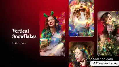 Vertical Snowflakes Transitions Elements template preview