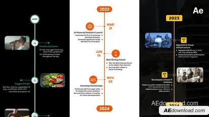 Timeline Infographics Vertical Infographics template preview