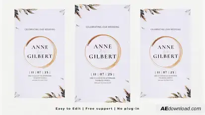 Vertical Wedding Intro Video Displays template preview