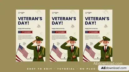 Veteran Day Instagram Stories Openers template preview