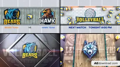 Volleyball Bumper 3 (4-Bumpers) Logo Stings template preview