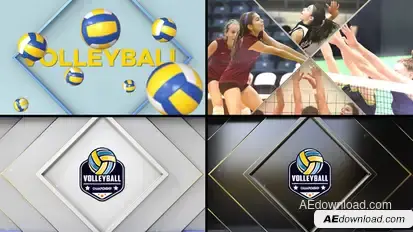 Volleyball Bumper Logo Stings template preview