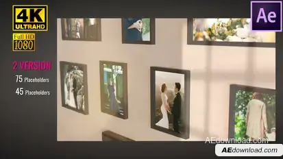 Wall Gallery Video Displays template preview