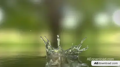 Water Drop Logo Reveal Logo Stings template preview