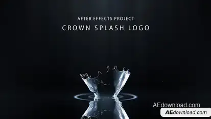 Water Splash Logo Stings template preview