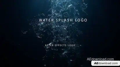 Water Splash Logo Logo Stings template preview