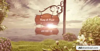 Wedding Video Displays template preview