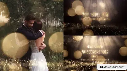 Wedding Openers template preview
