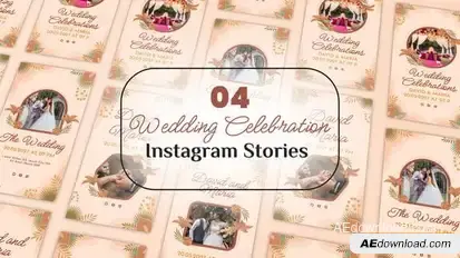 Videohive Wedding Celebration Instagram Stories Openers template preview