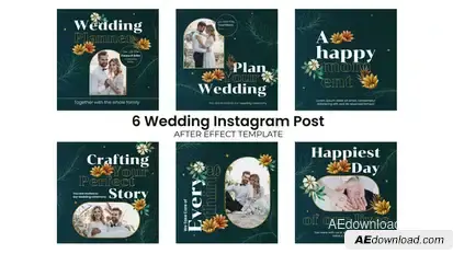 Wedding Day Instagram Post Openers template preview