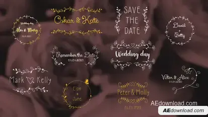 Wedding Day Titles | After Effects Titles template preview