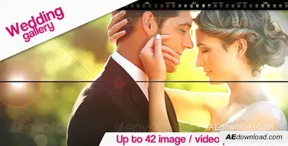 Wedding Gallery Video Displays template preview
