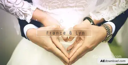 Wedding Gallery Video Displays template preview