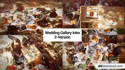 Wedding Gallery Intro Video Displays template preview