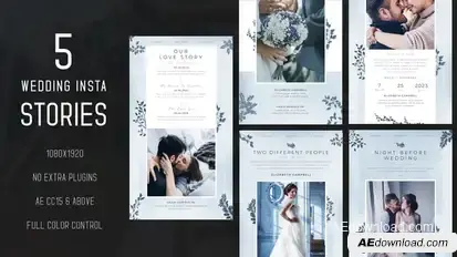 Wedding Instagram Stories Product Promo template preview