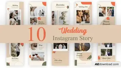 Videohive Wedding Instagram Stories Pack Video Displays template preview