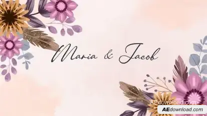 Wedding Intro Openers template preview