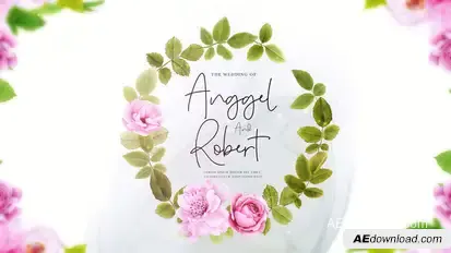 Wedding Intro Openers template preview