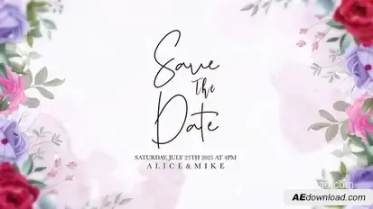 Wedding Intro Openers template preview