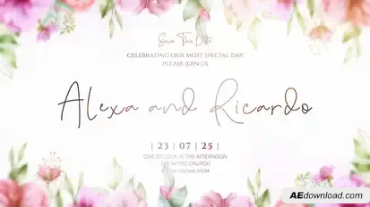 Wedding Intro Openers template preview