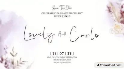 Wedding Intro V6 Openers template preview