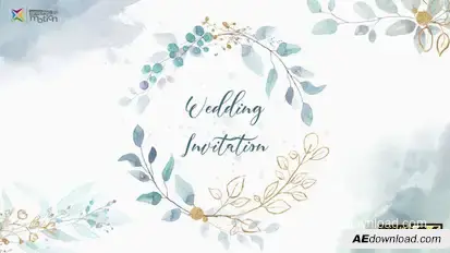Wedding Invitation Video Displays template preview