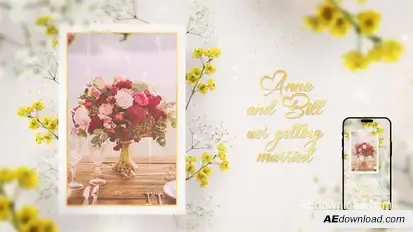 Wedding Invitation Video Displays template preview