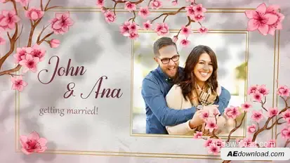 Wedding Invitation Video Displays template preview