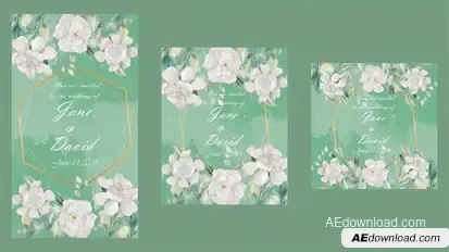 Wedding Invitation Video Displays template preview