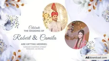 Videohive Wedding Invitation After Effects Openers template preview